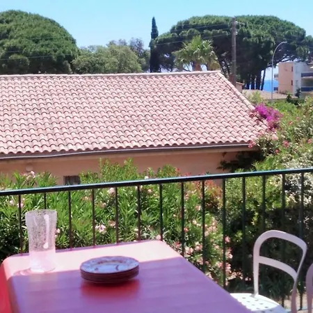 Дом отдыха Strelizia *