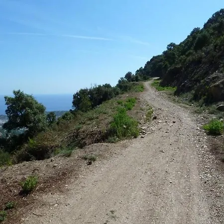 Strelizia Дом отдыха Кавалер-сюр-Мер