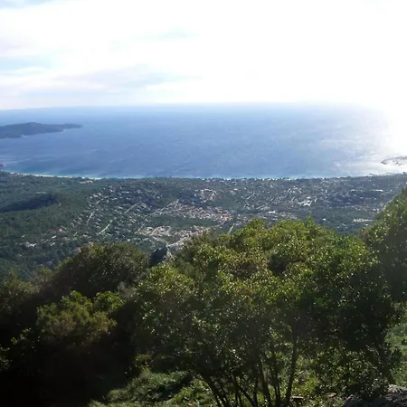 Дом отдыха Strelizia