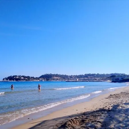 Strelizia Cavalaire-sur-Mer