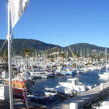 Strelizia Cavalaire-sur-Mer