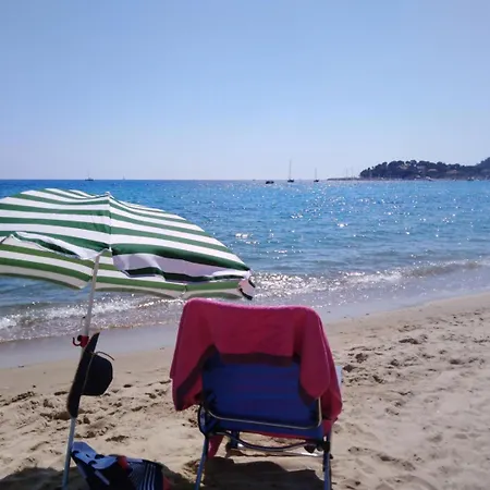 Strelizia Cavalaire-sur-Mer